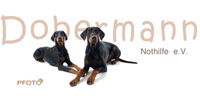 dobermann nothilfe