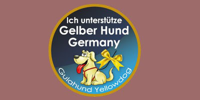 gelber hund