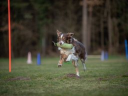 dummytraining_4_20220405_1869530634