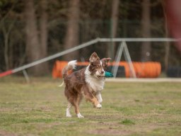 dummytraining_5_20220405_2064110562