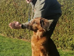 lothar_2_20210312_2083626190