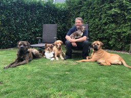 masters_of_dogs_5_20241104_1040648841