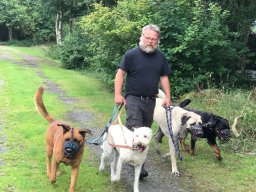 masters_of_dogs_6_20241104_1194900415