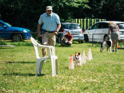 Sommerfest 2017