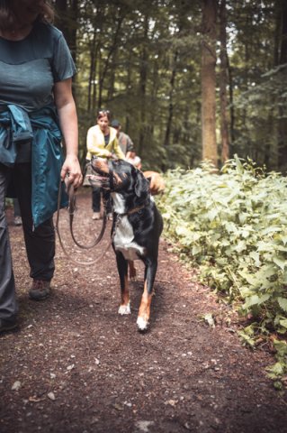 wanderung_pfingstmontag_reismuehle_3_20220613_1623543633