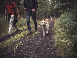 Wanderung Pfingstmontag Reismühle