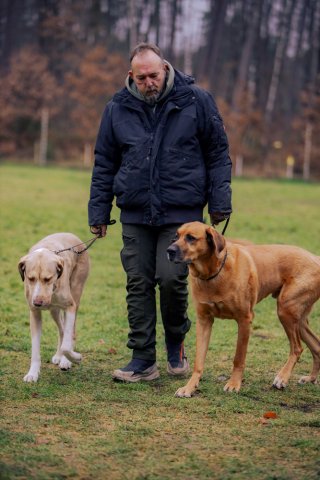 weihnachtsspaziergang_2024_alina_9_20241217_1705004153