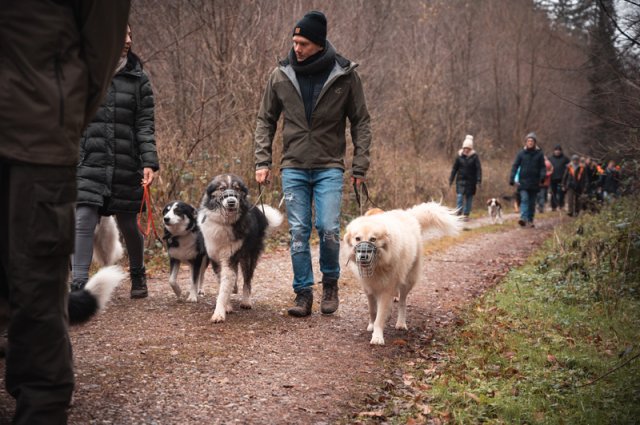 weihnachtsspaziergang_2024_marc_armbrust_9_20241217_1344273409